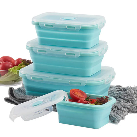 Silicon Foldable Food Storage Container  (4 pieces)