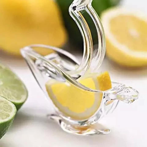 Acrylic Bird Design Lemon Sqeezer AurDekhao.pk