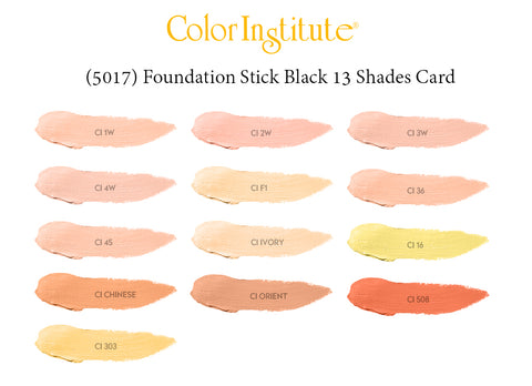Color Institute Foundation Stick (13 shades)