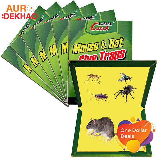 2 Glue Trap Boards for Mice and Rats AurDekhao.pk